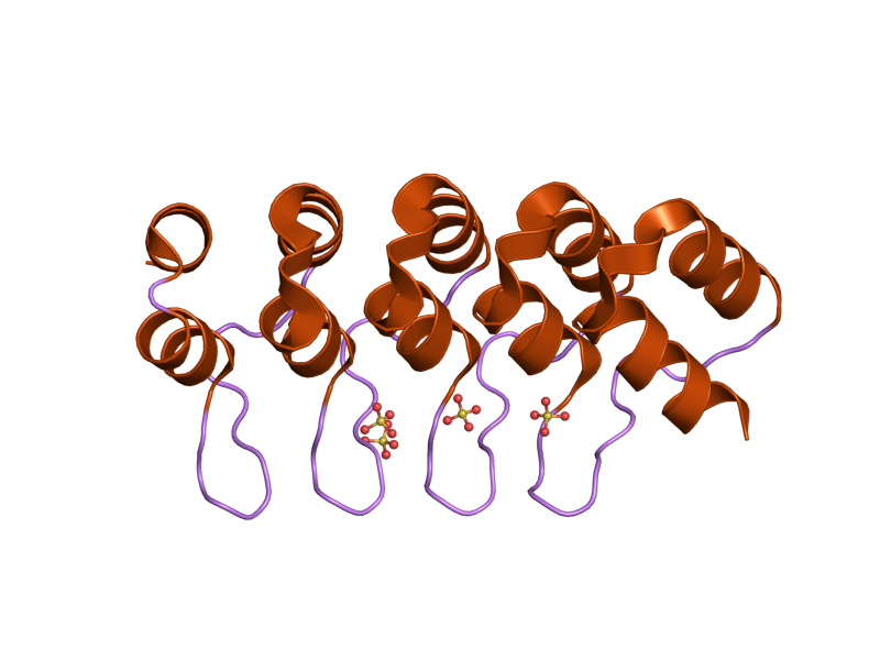 Cartoon representation of the molecular structure of protein registered with 2qyj code.