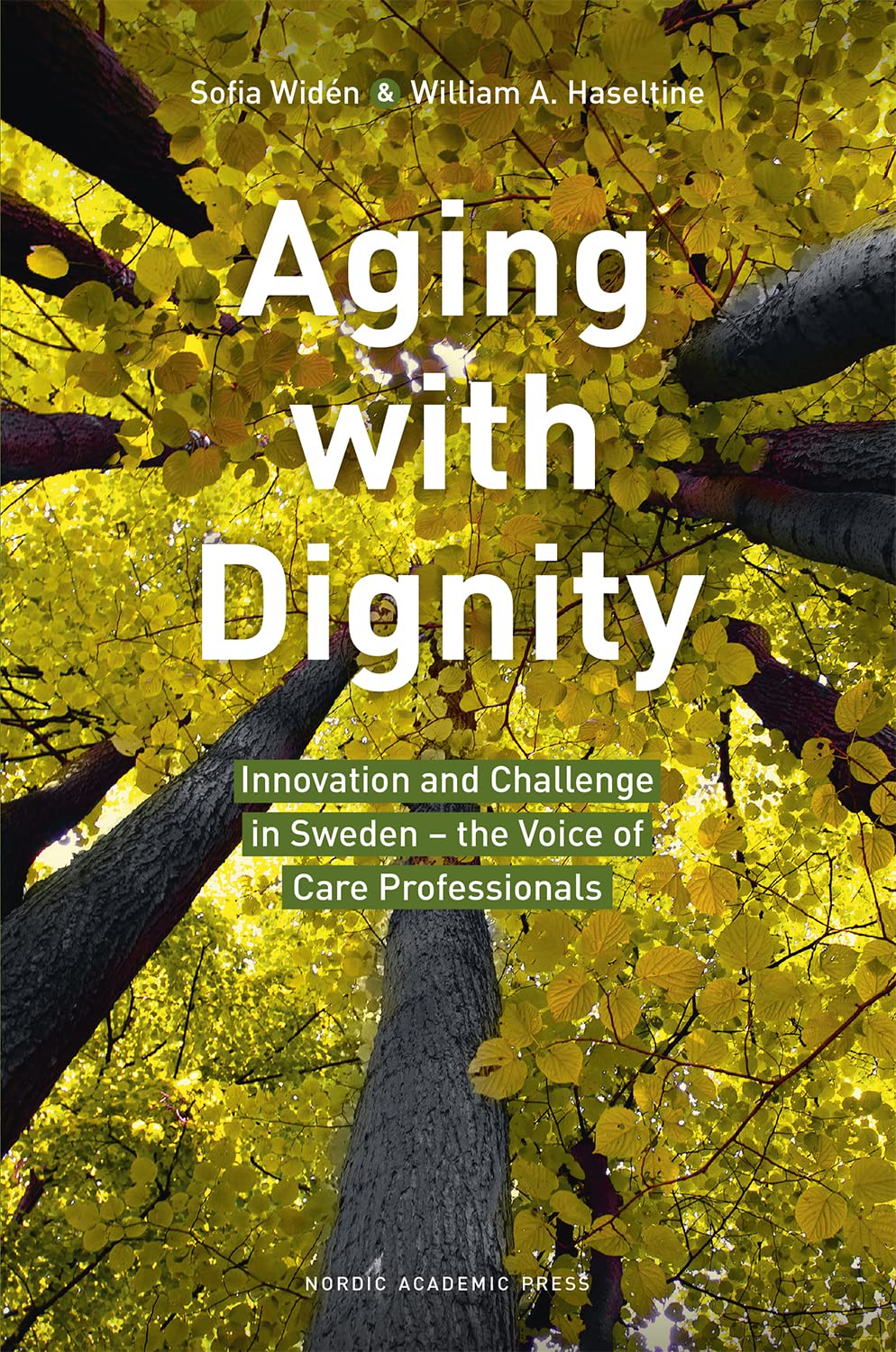 Aging with Dignity: Innovation and Challenge is Sweden-The Voice of Care Professionals